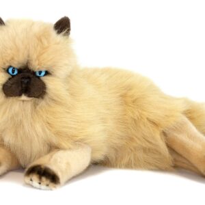 Bocchetta - Violet Himalayan Cat Lying Plush Toy 38cm
