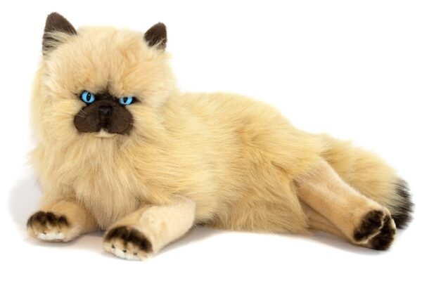 Bocchetta - Violet Himalayan Cat Lying Plush Toy 38cm