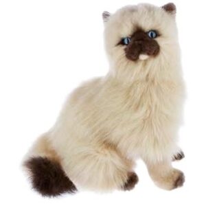 Bocchetta - Toffee Himalayan Cat Sitting Plush Toy 27cm