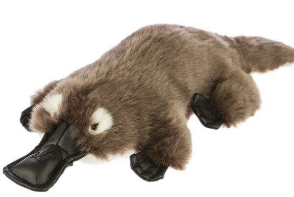 Bocchetta - Tucker Platypus Plush Toy 36cm