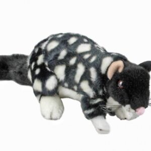 Bocchetta - Polka Eastern Quoll Plush Toy 20cm
