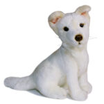 Bocchetta - Ivory White Dingo Plush Toy 25cm
