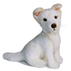 Bocchetta - Ivory White Dingo Plush Toy 25cm